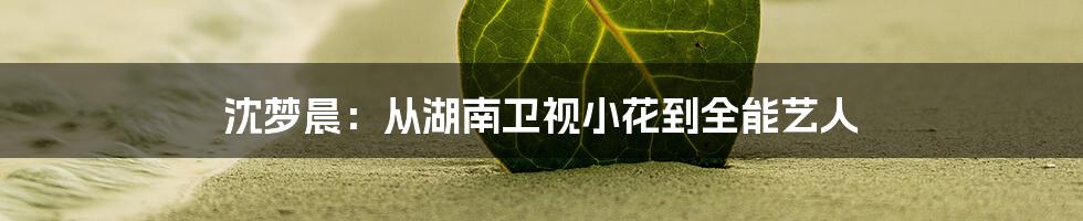 沈梦晨：从湖南卫视小花到全能艺人