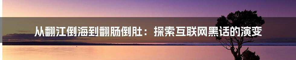 从翻江倒海到翻肠倒肚：探索互联网黑话的演变