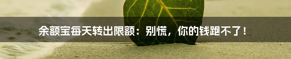 余额宝每天转出限额：别慌，你的钱跑不了！