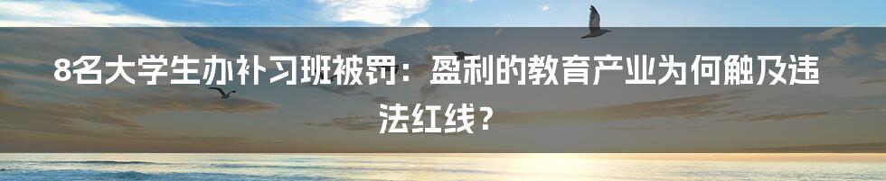 8名大学生办补习班被罚：盈利的教育产业为何触及违法红线？