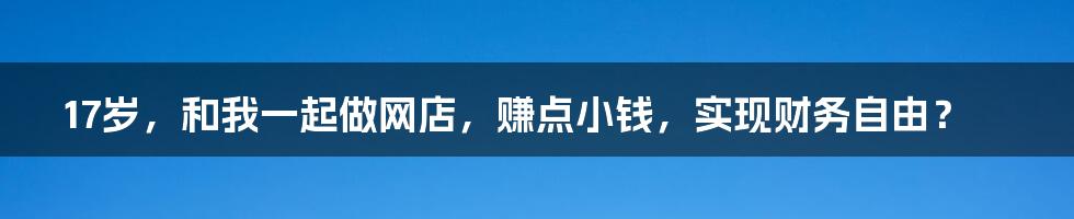 17岁，和我一起做网店，赚点小钱，实现财务自由？