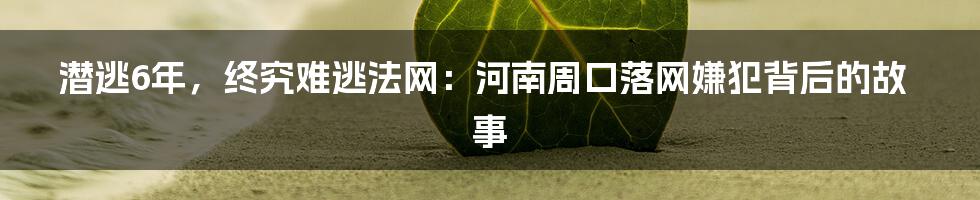 潜逃6年，终究难逃法网：河南周口落网嫌犯背后的故事