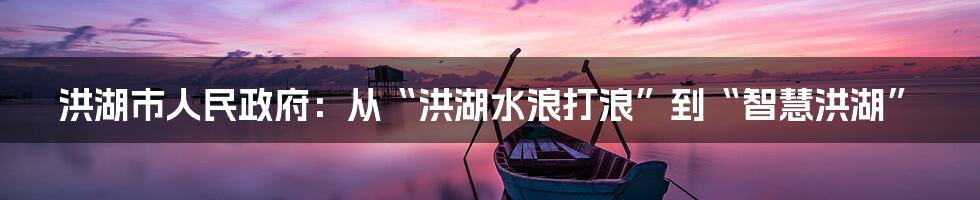 洪湖市人民政府：从“洪湖水浪打浪”到“智慧洪湖”