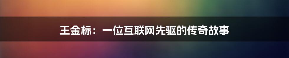 王金标：一位互联网先驱的传奇故事