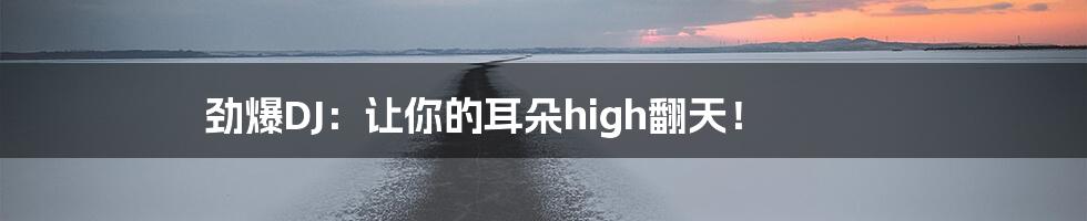 劲爆DJ：让你的耳朵high翻天！