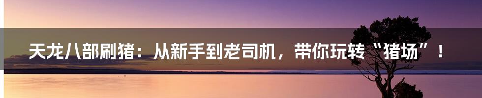 天龙八部刷猪：从新手到老司机，带你玩转“猪场”！