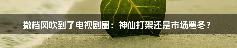 撤档风吹到了电视剧圈：神仙打架还是市场寒冬？