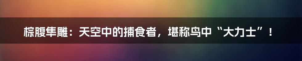 棕腹隼雕：天空中的捕食者，堪称鸟中“大力士”！