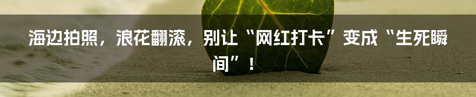 海边拍照，浪花翻滚，别让“网红打卡”变成“生死瞬间”！