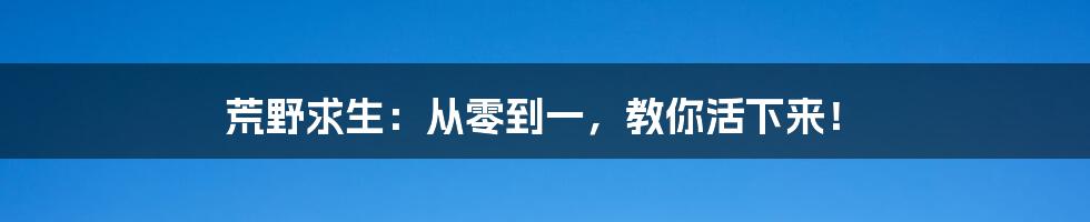 荒野求生：从零到一，教你活下来！