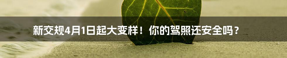 新交规4月1日起大变样！你的驾照还安全吗？