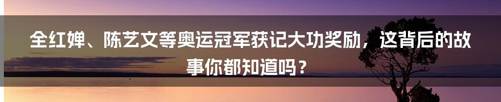 全红婵、陈艺文等奥运冠军获记大功奖励，这背后的故事你都知道吗？