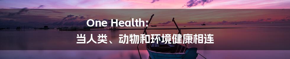 One Health: 当人类、动物和环境健康相连