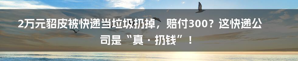 2万元貂皮被快递当垃圾扔掉，赔付300？这快递公司是“真·扔钱”！