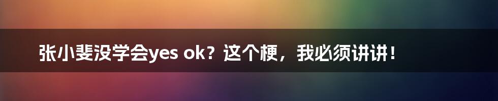 张小斐没学会yes ok？这个梗，我必须讲讲！