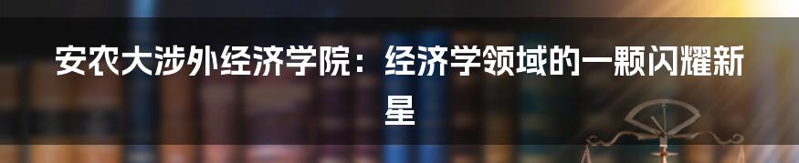 安农大涉外经济学院：经济学领域的一颗闪耀新星