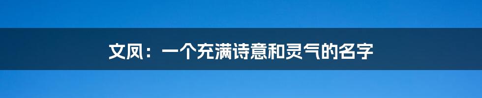 文凤：一个充满诗意和灵气的名字