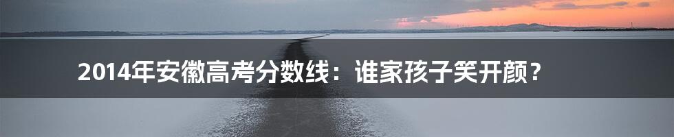 2014年安徽高考分数线：谁家孩子笑开颜？