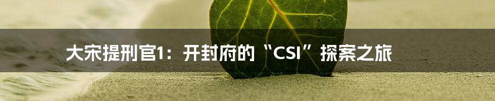 大宋提刑官1：开封府的“CSI”探案之旅