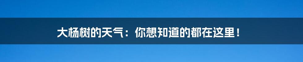 大杨树的天气：你想知道的都在这里！