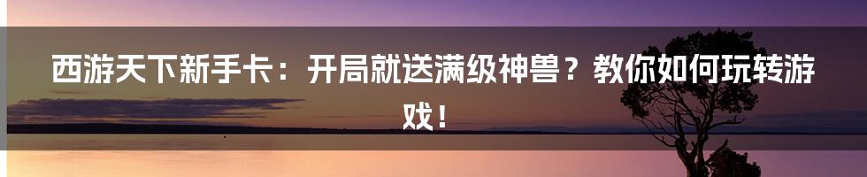 西游天下新手卡：开局就送满级神兽？教你如何玩转游戏！