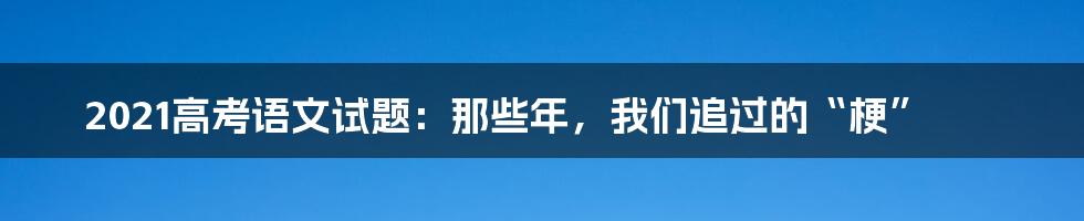 2021高考语文试题：那些年，我们追过的“梗”