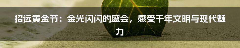 招远黄金节：金光闪闪的盛会，感受千年文明与现代魅力