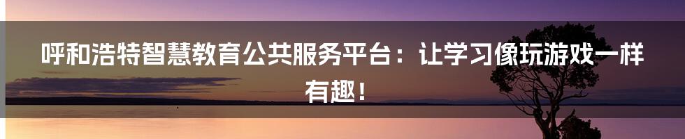 呼和浩特智慧教育公共服务平台：让学习像玩游戏一样有趣！