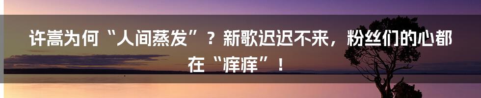 许嵩为何“人间蒸发”？新歌迟迟不来，粉丝们的心都在“痒痒”！