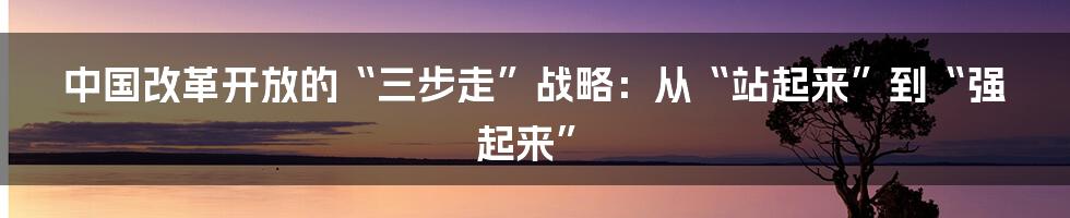 中国改革开放的“三步走”战略：从“站起来”到“强起来”