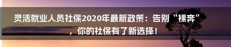 灵活就业人员社保2020年最新政策：告别“裸奔”，你的社保有了新选择！