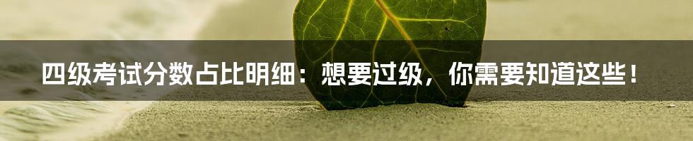 四级考试分数占比明细：想要过级，你需要知道这些！