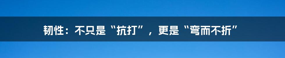 韧性：不只是“抗打”，更是“弯而不折”