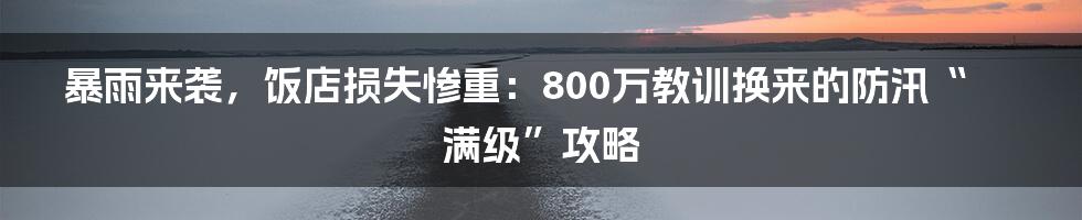 暴雨来袭，饭店损失惨重：800万教训换来的防汛“满级”攻略