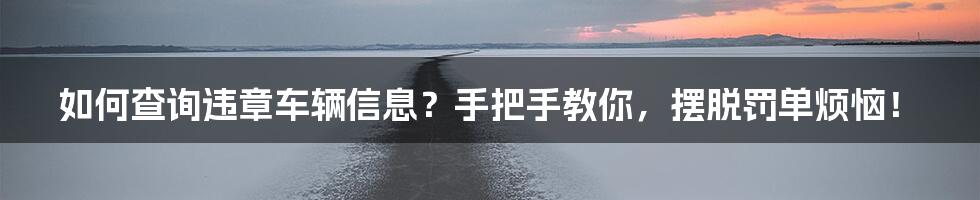 如何查询违章车辆信息？手把手教你，摆脱罚单烦恼！