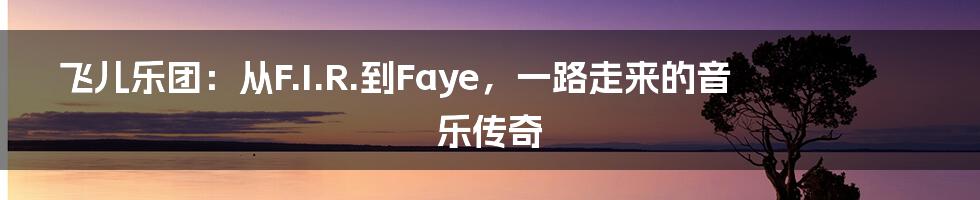 飞儿乐团：从F.I.R.到Faye，一路走来的音乐传奇