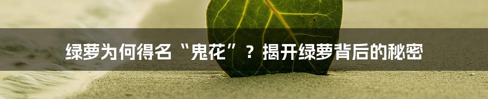 绿萝为何得名“鬼花”？揭开绿萝背后的秘密