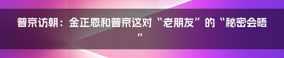 普京访朝：金正恩和普京这对“老朋友”的“秘密会晤”