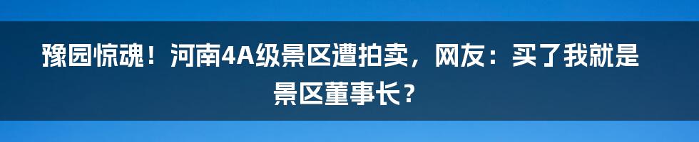 豫园惊魂！河南4A级景区遭拍卖，网友：买了我就是景区董事长？