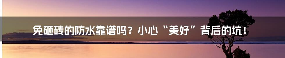 免砸砖的防水靠谱吗？小心“美好”背后的坑！