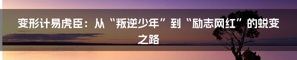 变形计易虎臣：从“叛逆少年”到“励志网红”的蜕变之路