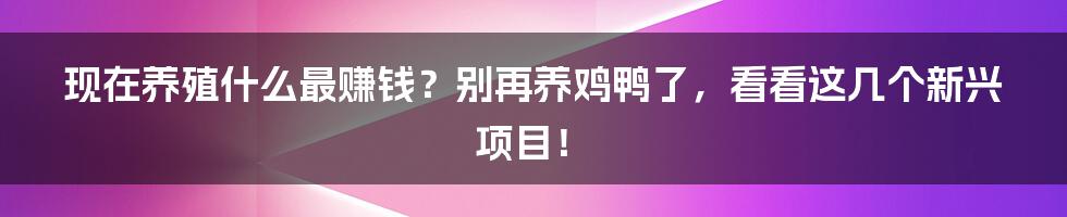 现在养殖什么最赚钱？别再养鸡鸭了，看看这几个新兴项目！