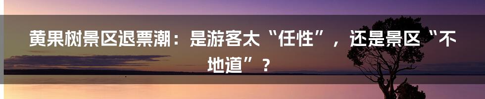 黄果树景区退票潮：是游客太“任性”，还是景区“不地道”？