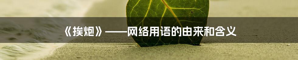 《挨炮》——网络用语的由来和含义