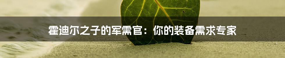 霍迪尔之子的军需官：你的装备需求专家