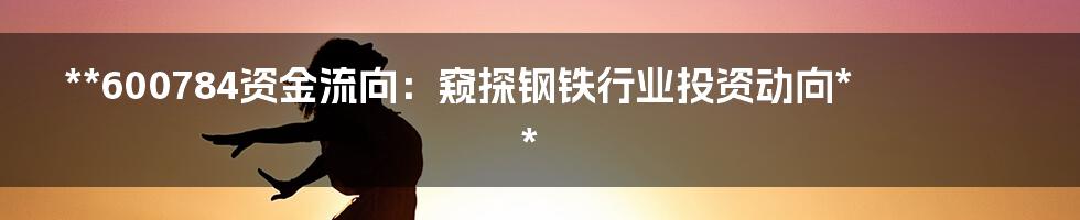 **600784资金流向：窥探钢铁行业投资动向**