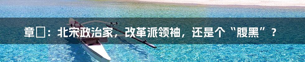 章惇：北宋政治家，改革派领袖，还是个“腹黑”？