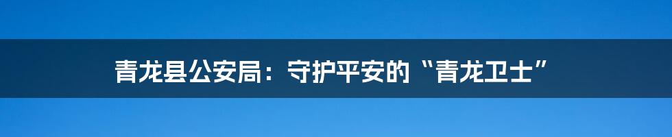 青龙县公安局：守护平安的“青龙卫士”