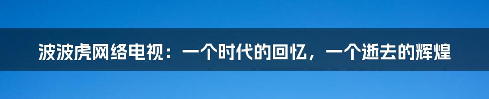 波波虎网络电视：一个时代的回忆，一个逝去的辉煌