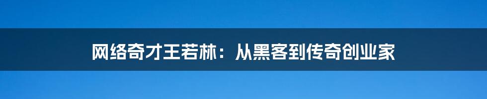 网络奇才王若林：从黑客到传奇创业家